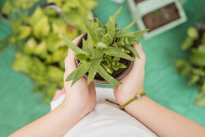 ¿Esperas un bebé en 2024? Descubre cómo será…